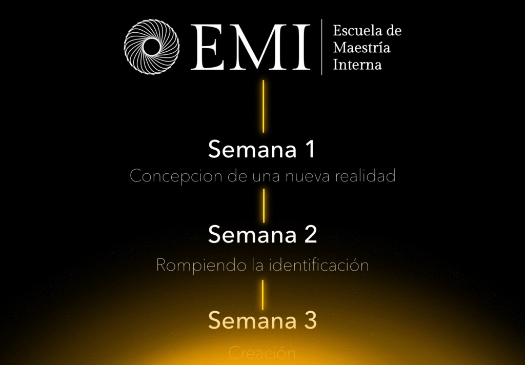 Programa escuela de maestría interna